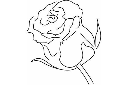 Coloriage Rose 04 – 10doigts.fr